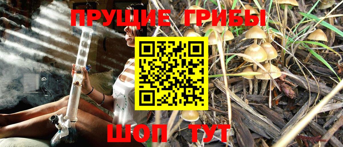 Псилоцибиновые грибы Magic Shrooms Нефтекамск